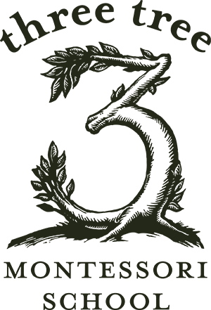 Three Tree Montessori School