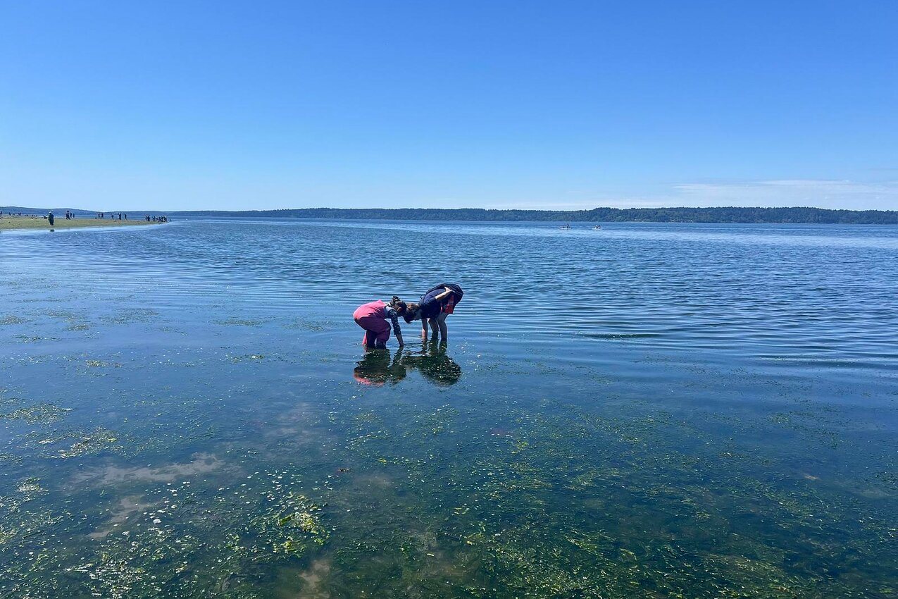 Image processing20250603 2 iqro25 2