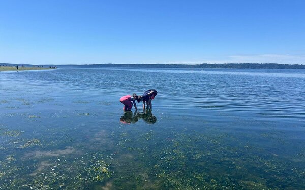 Image processing20250603 2 iqro25 2